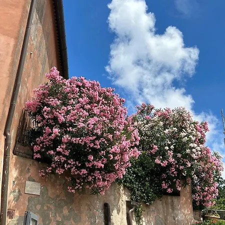 Alla Meria Castiglione della Pescaia Esterno foto